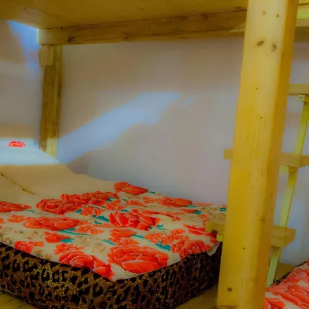 Old Style By The Sea, Roof Terrace With Heated Pool, Outdoor Kitchen, Ladispoli Apartamento