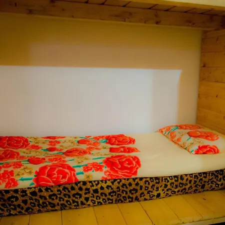 Old Style By The Sea, Roof Terrace With Heated Pool, Outdoor Kitchen, Ladispoli
