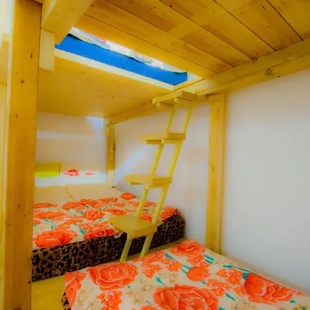 Apartamento Old Style By The Sea, Roof Terrace With Heated Pool, Outdoor Kitchen, Ladispoli